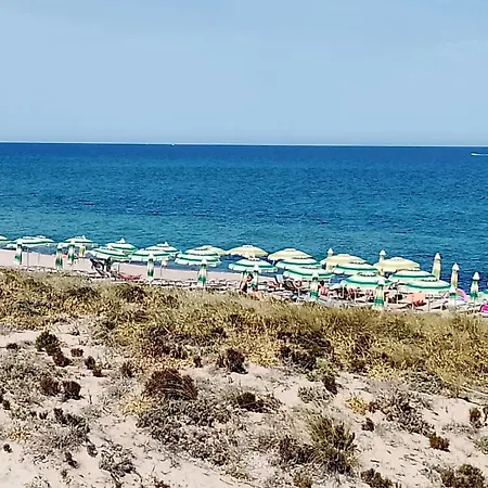 Affittimoderni Baia Delle Mimose-domus Fulviae Apartament